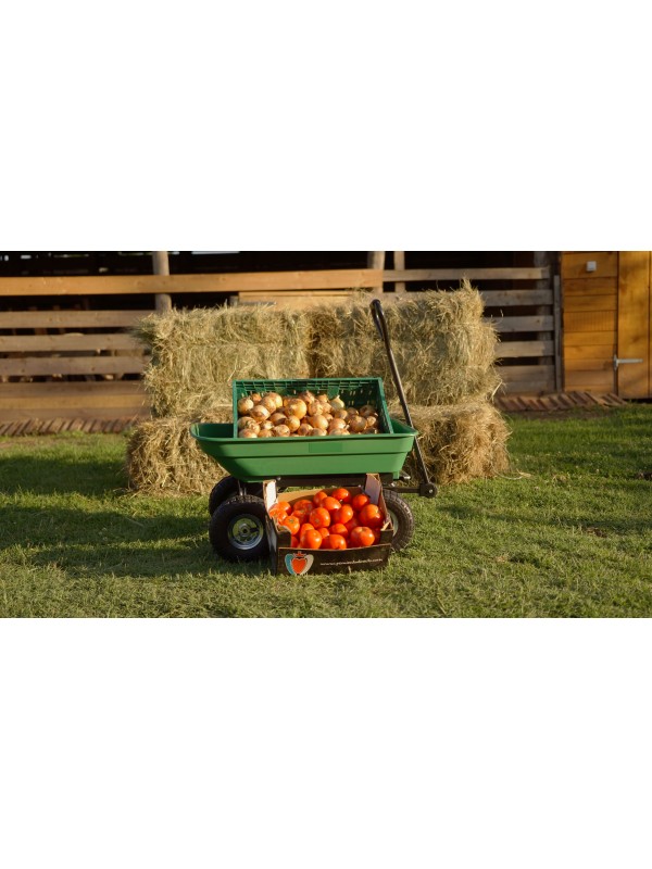 Garden trolley with switch 350